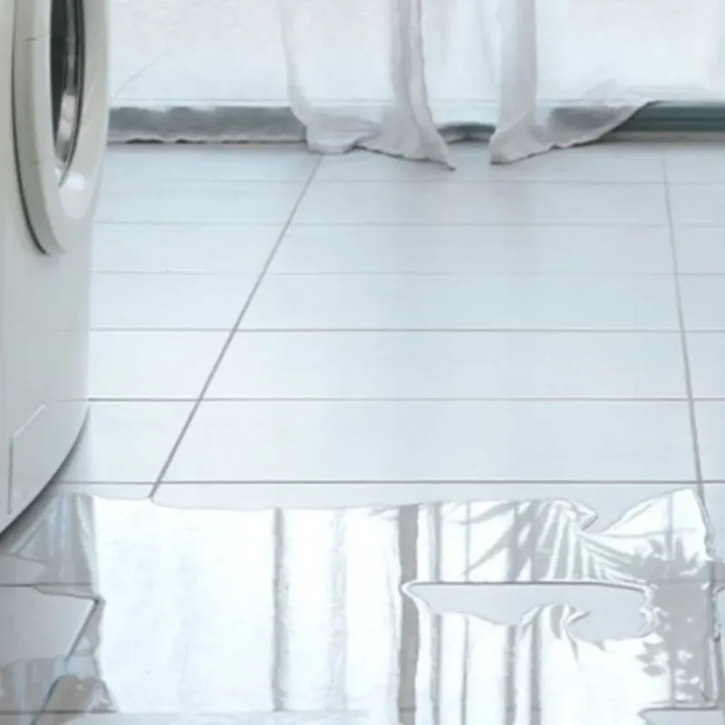 Appliance Leak Cleanup in Grand Haven, MI
